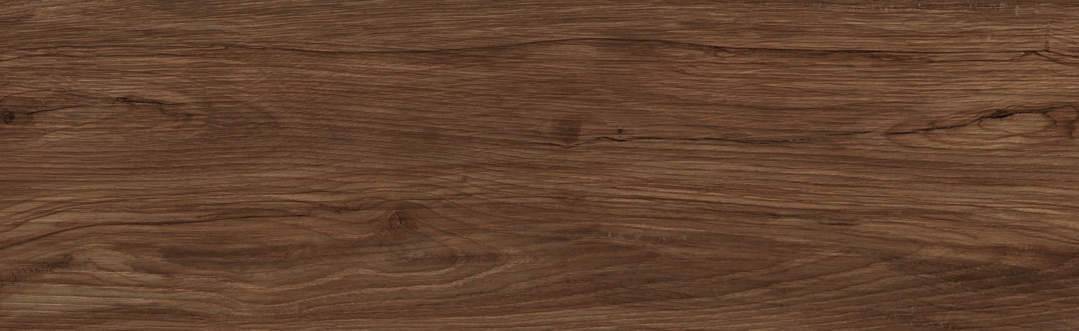 TABLE TENNIS IN 5 STEPS - SUNNYLiFE EU