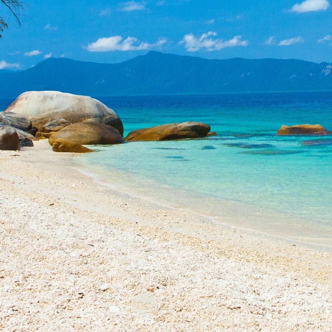 INTRODUCING OUR SUMMER 23 COLLECTIONS - SUNNYLiFE EU