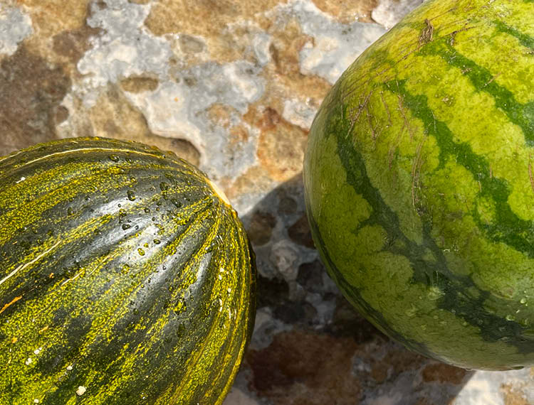 Gift Cards - SUNNYLiFE EU