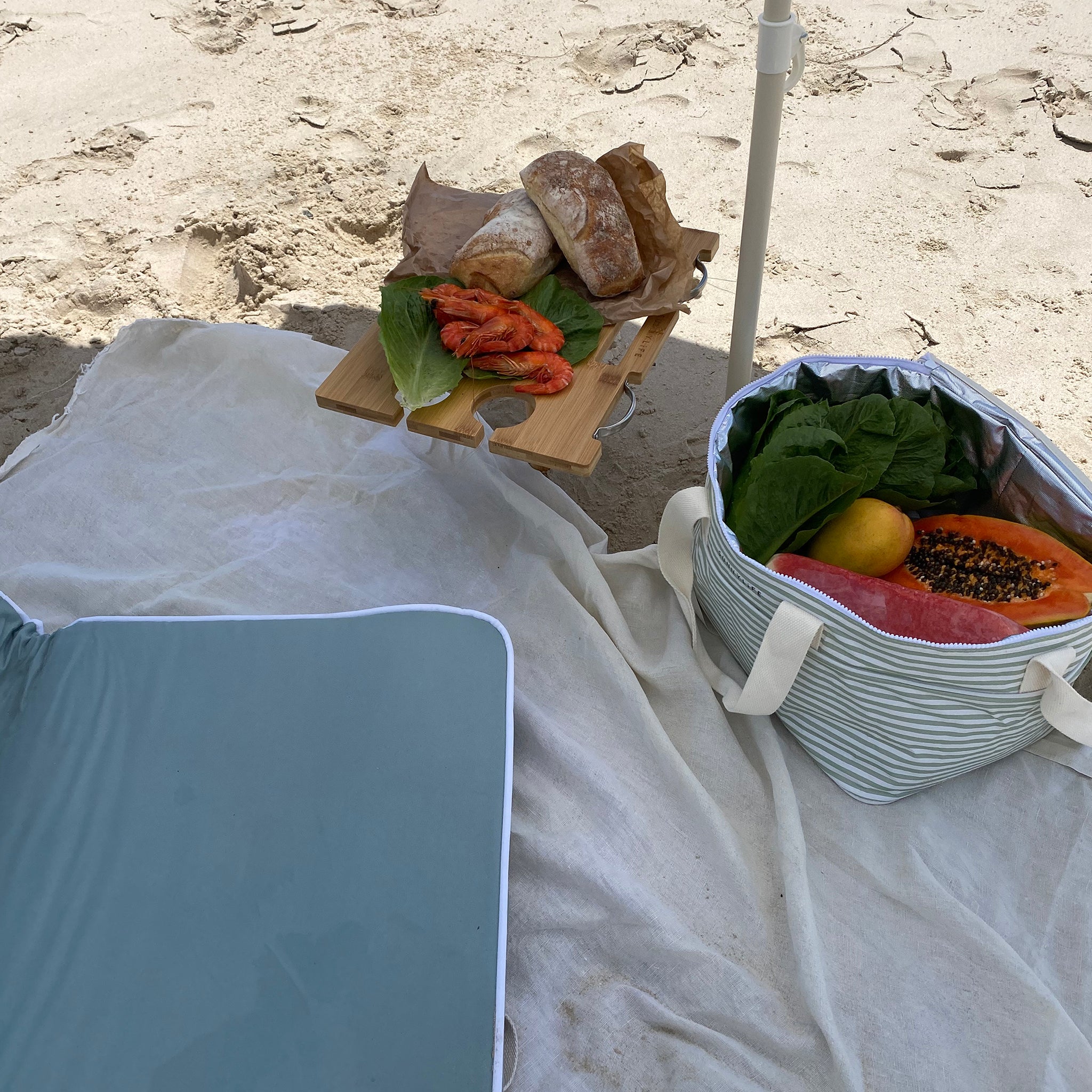 Portable Picnic Table