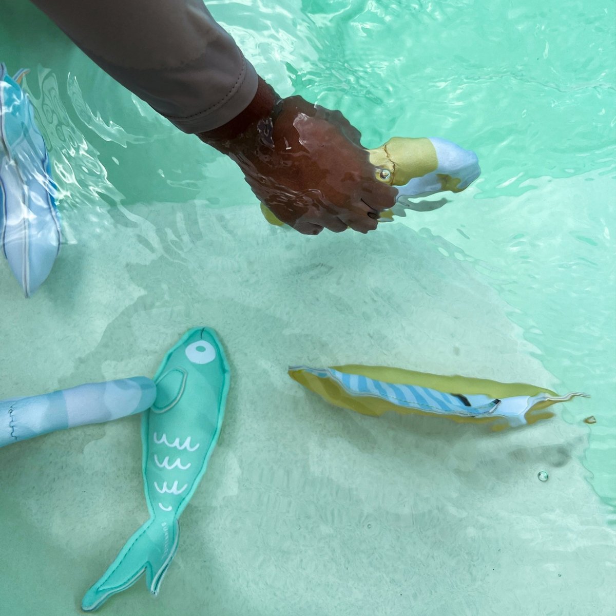 Dive Buddies 6 - Sammy the Seagull - SUNNYLiFE EU