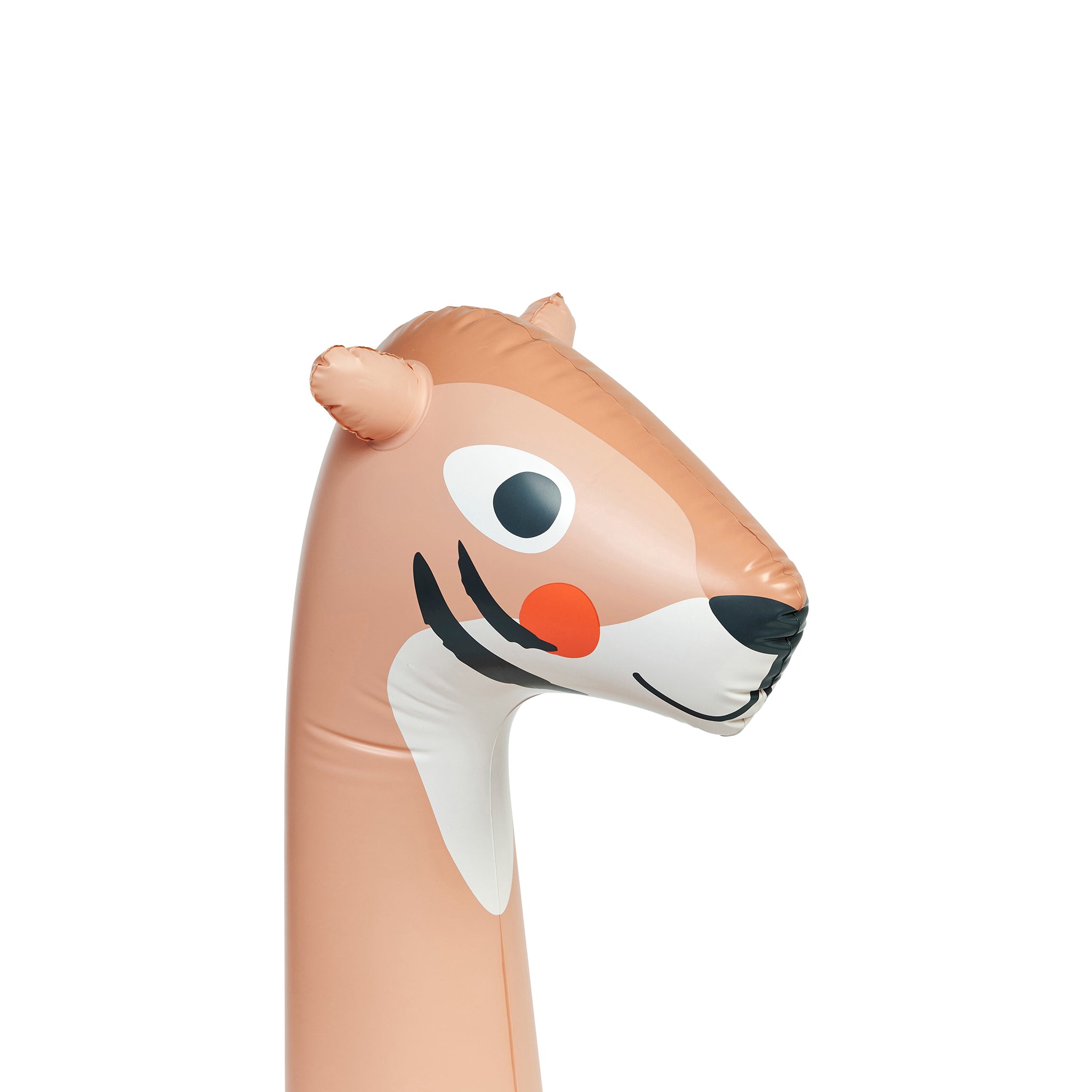 Kids Inflatable Noodle - Tino the Tiger Clay Set of 2