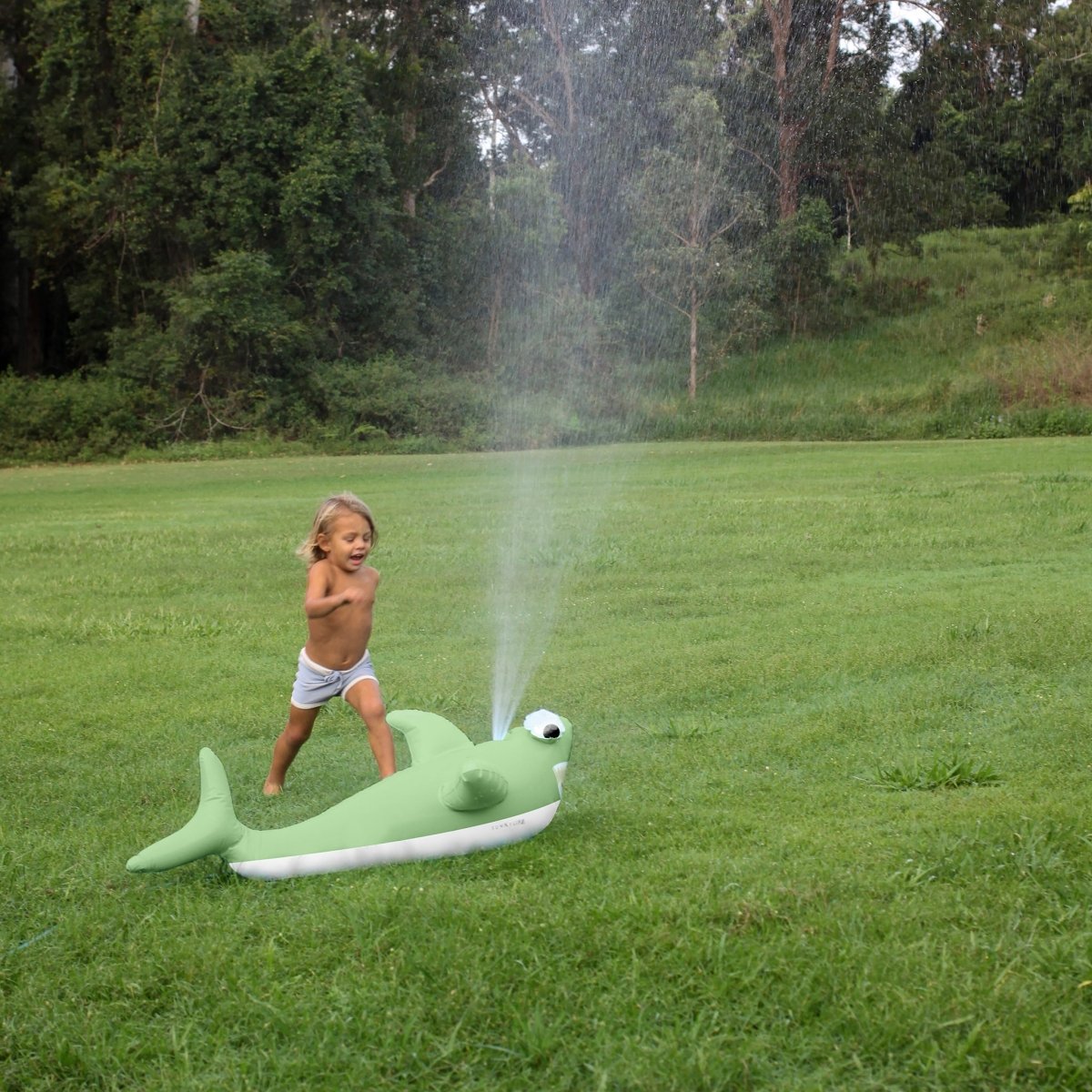 Inflatable Shark Sprinkler - SUNNYLiFE EU