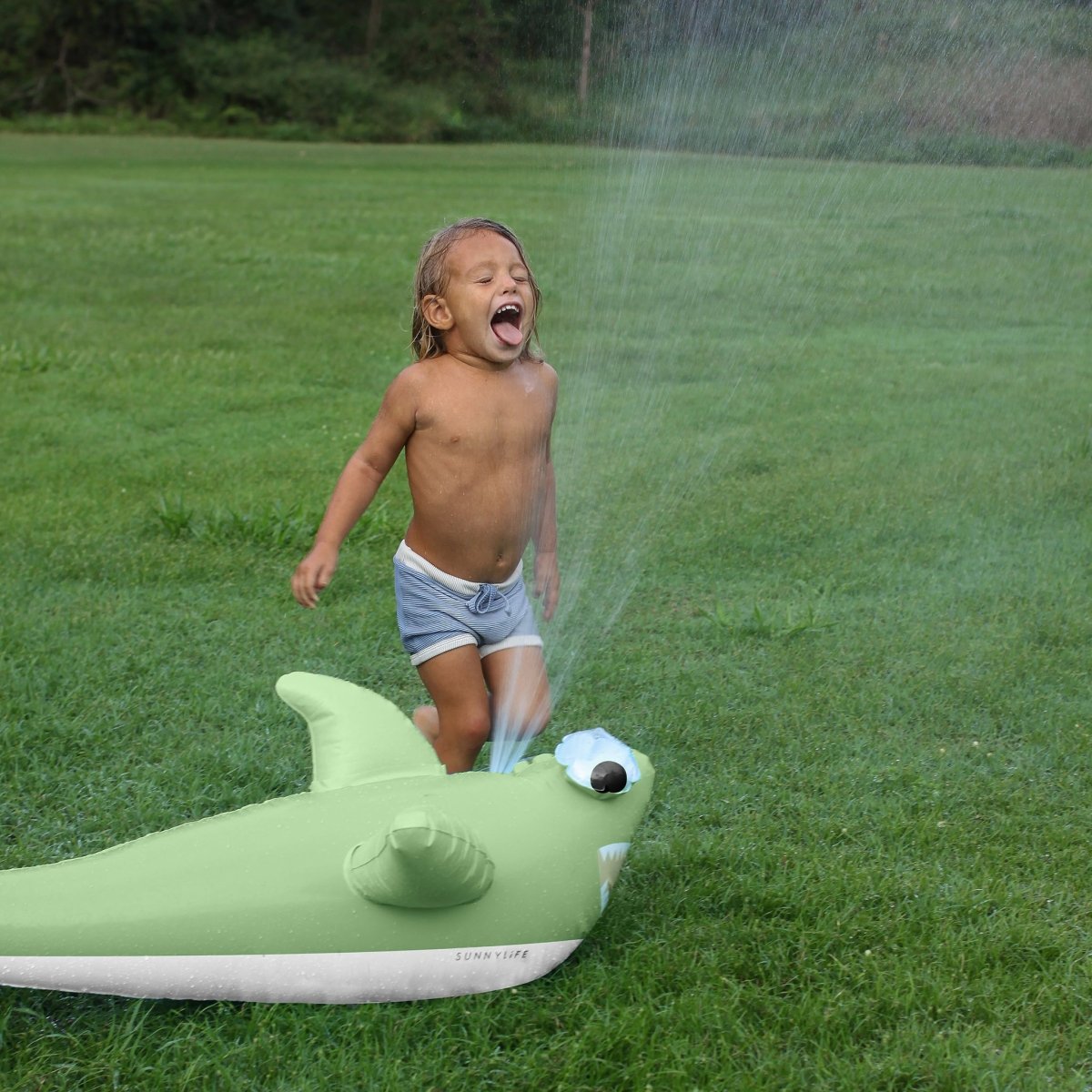 Inflatable Shark Sprinkler - SUNNYLiFE EU