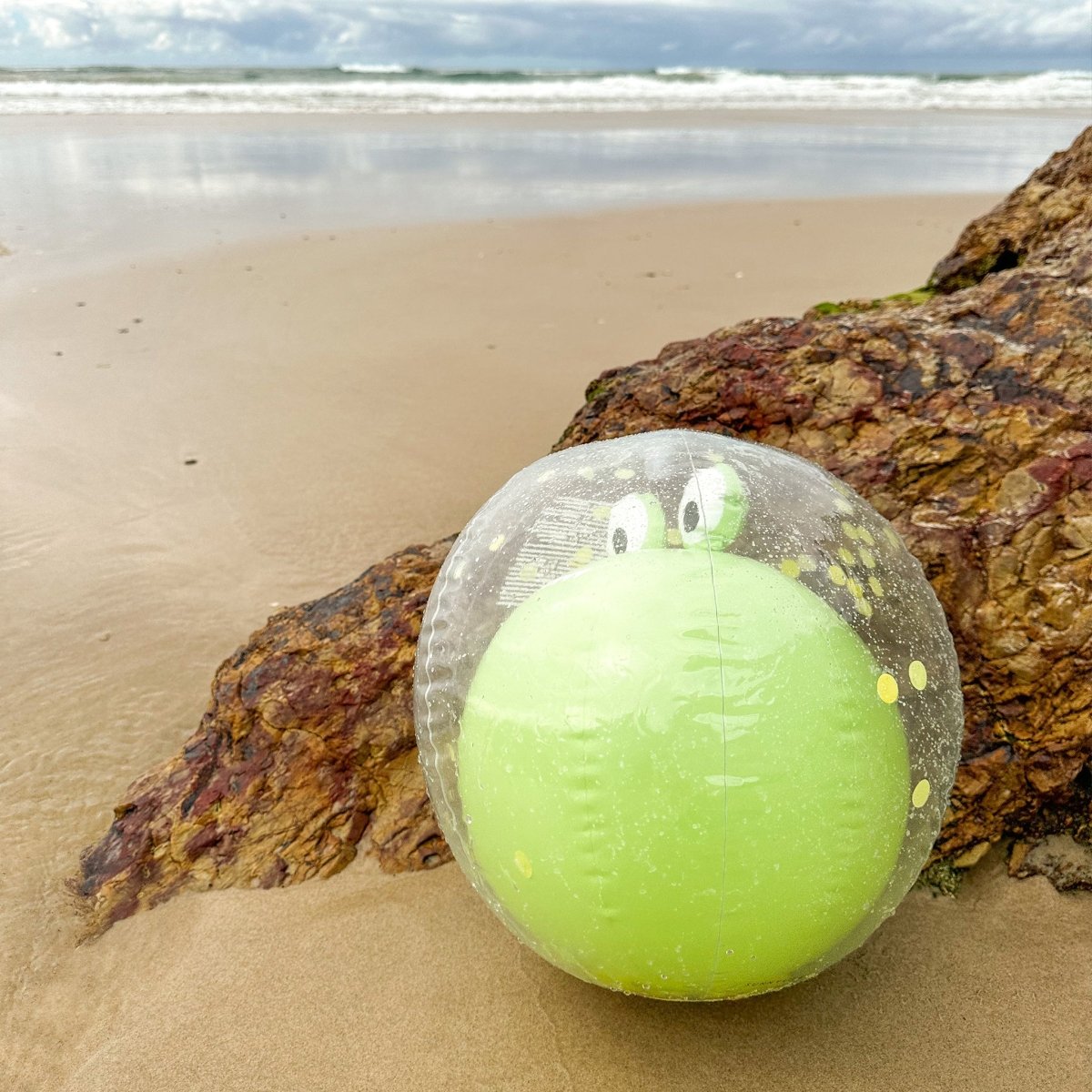 3D Inflatable Beach Ball - Cookie the Croc - SUNNYLiFE EU