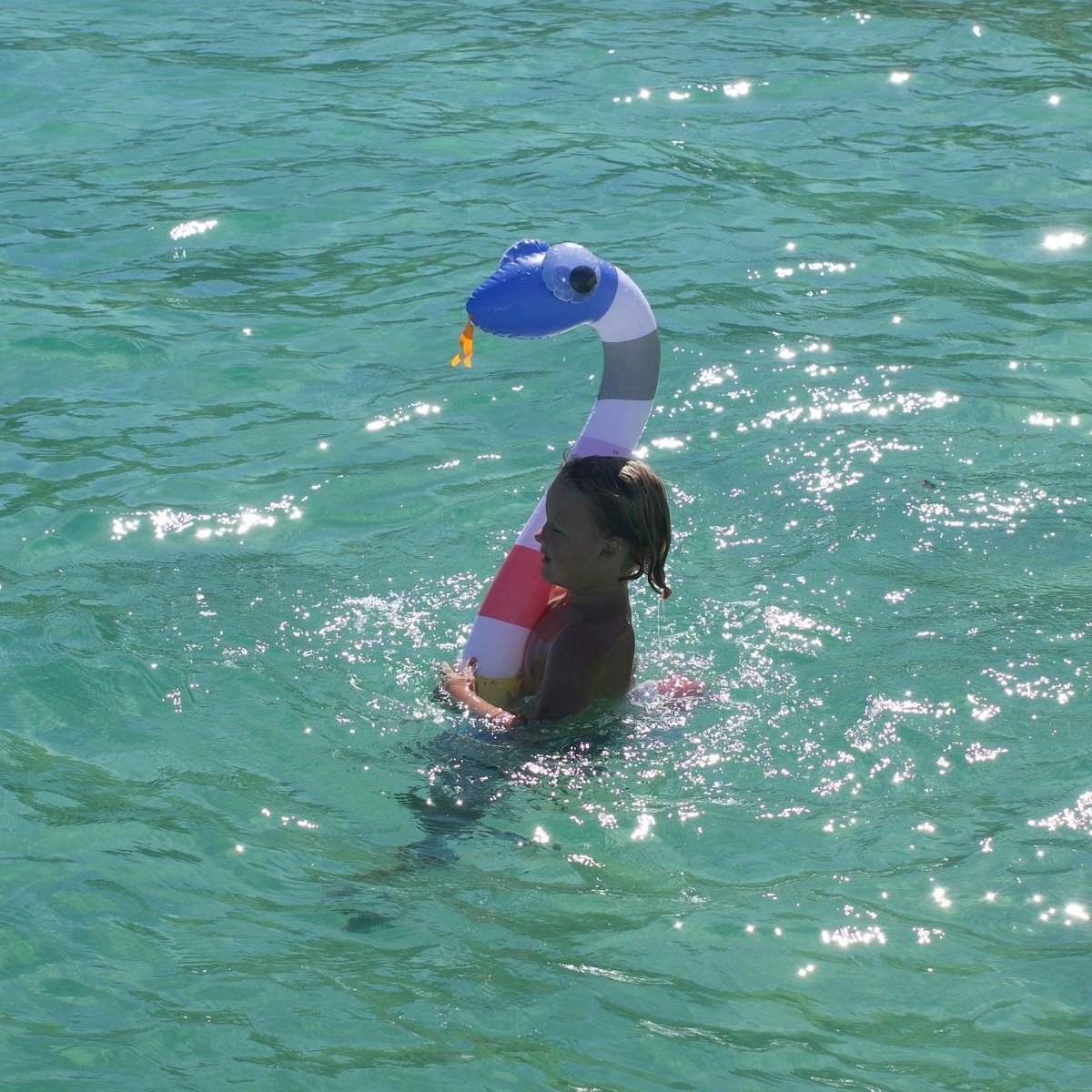 Kids Inflatable Noodle - Into the Wild - SUNNYLiFE EU