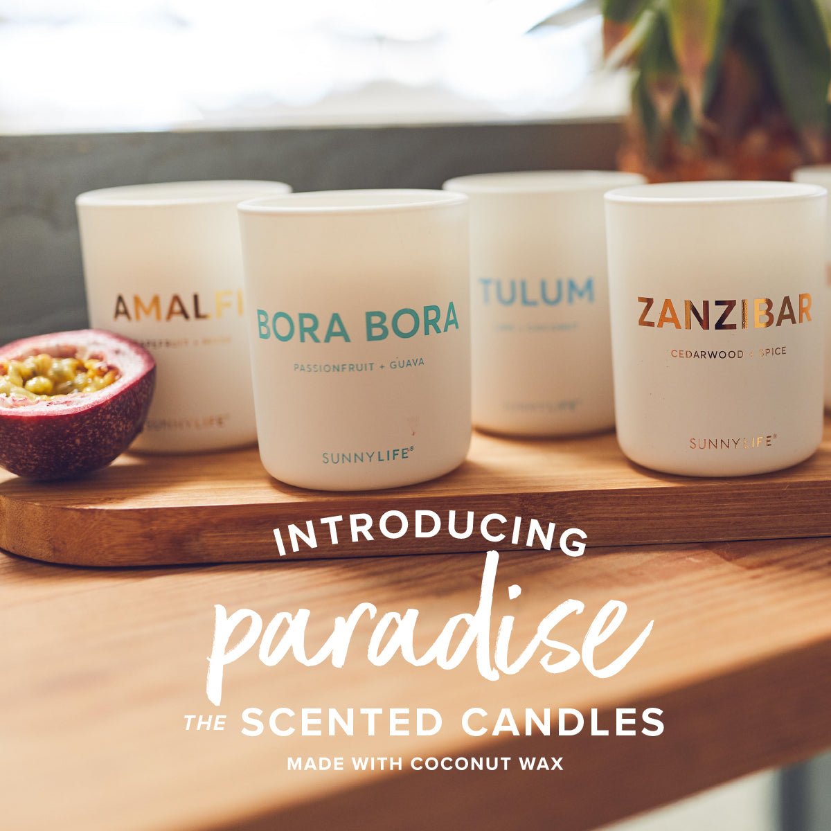 Introducing Paradise | The Scented Candles - SUNNYLiFE EU