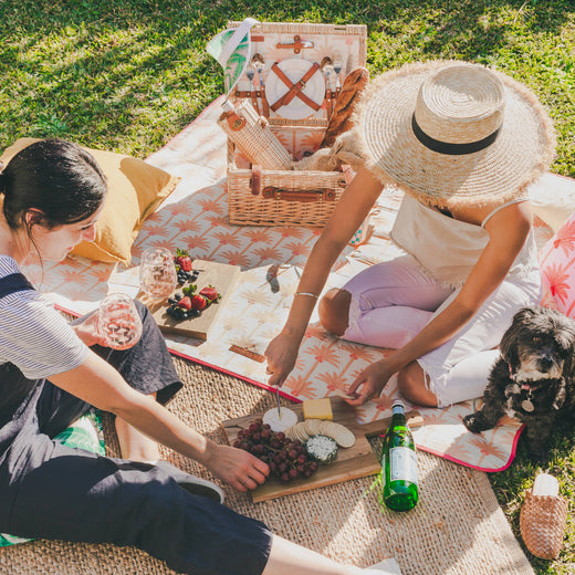 Picnic Season is here | Pack the Perfect Picnic