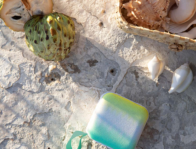 Speakers - SUNNYLiFE EU