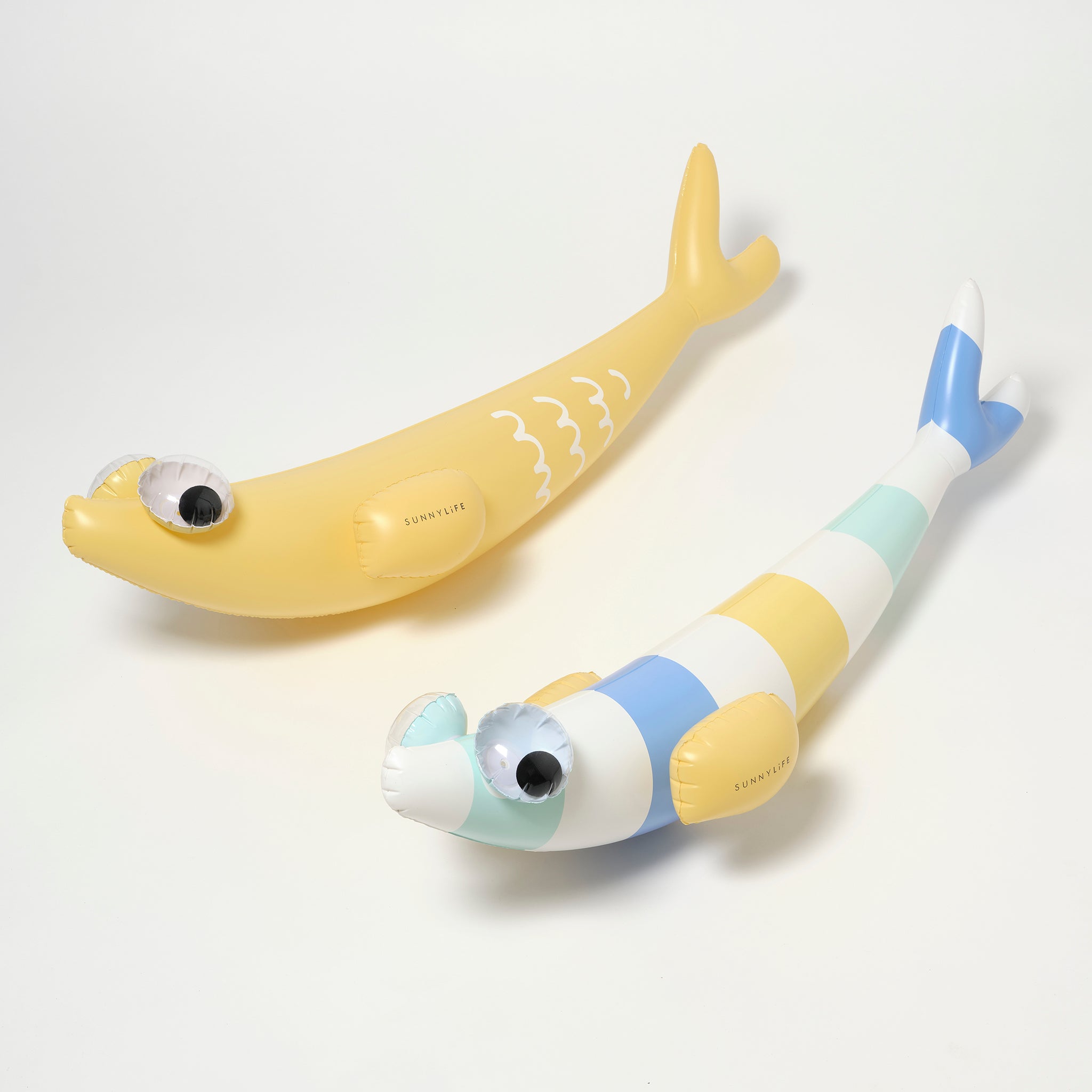 Kids Inflatable Noodle | Finn the Fish Multi